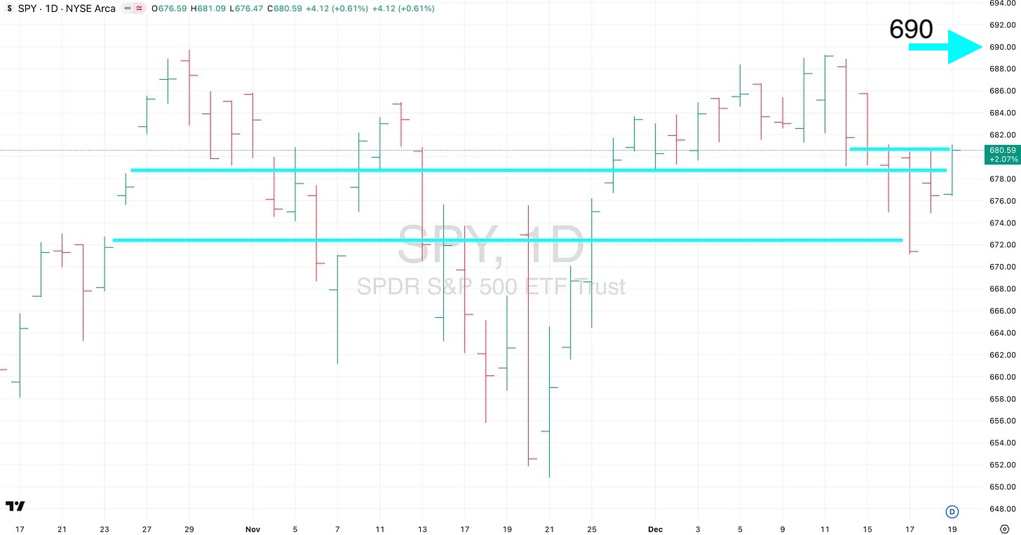 I'm Not A Cat. I Like The Spot. I Perch Observations #23