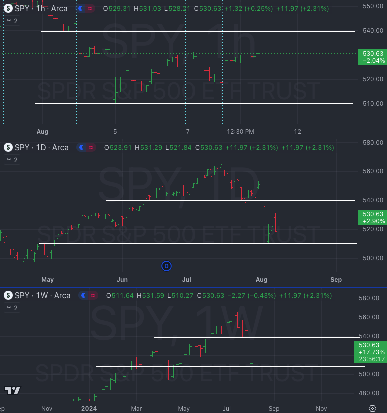 08.09.24 - Little Bird Trading's Market Weather Report