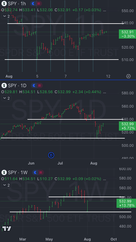 08.12.24 - Little Bird Trading's Market Weather Report