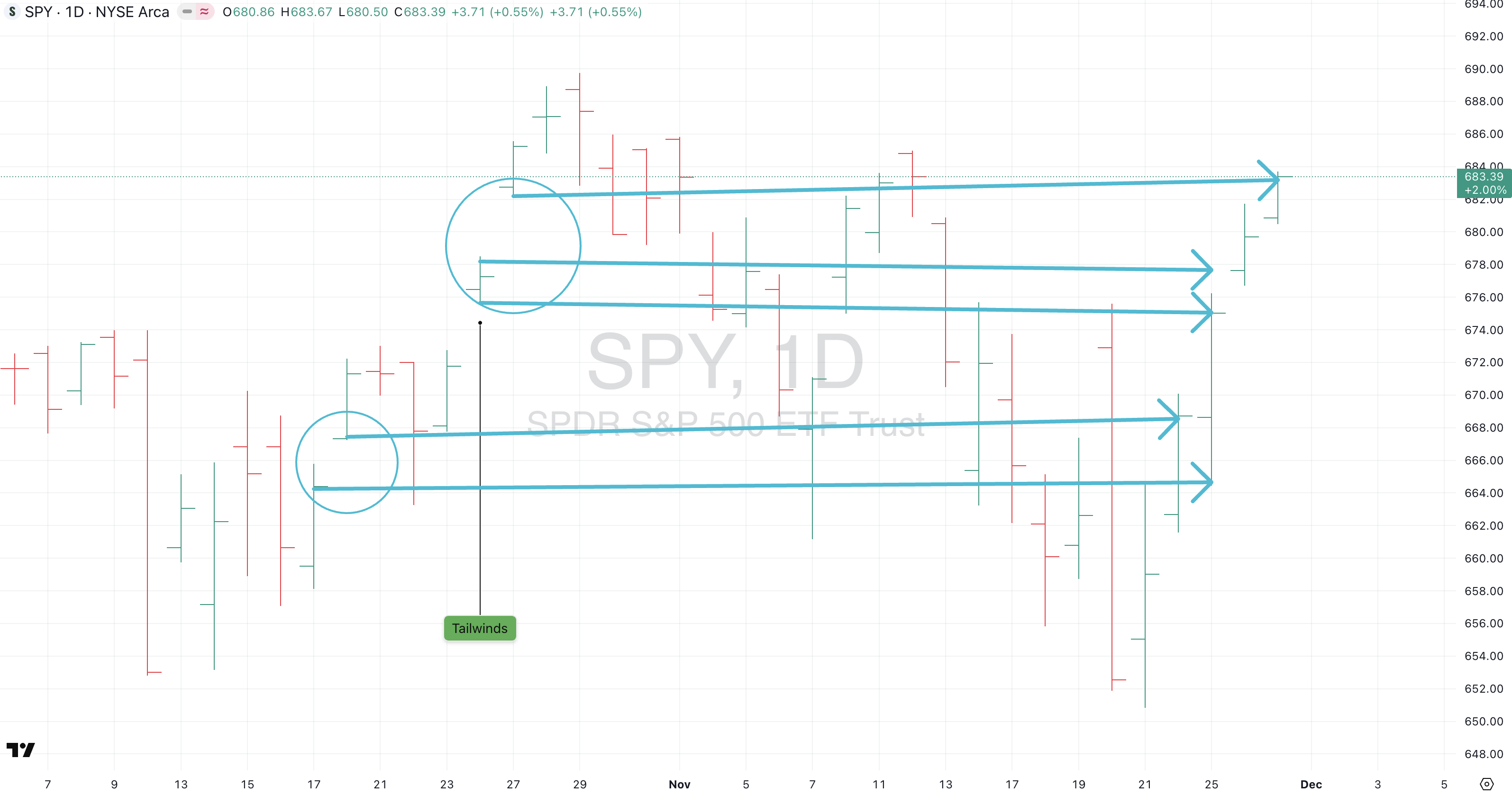 Pencil Me In, Coach I Perch Observations #20 I November 29th