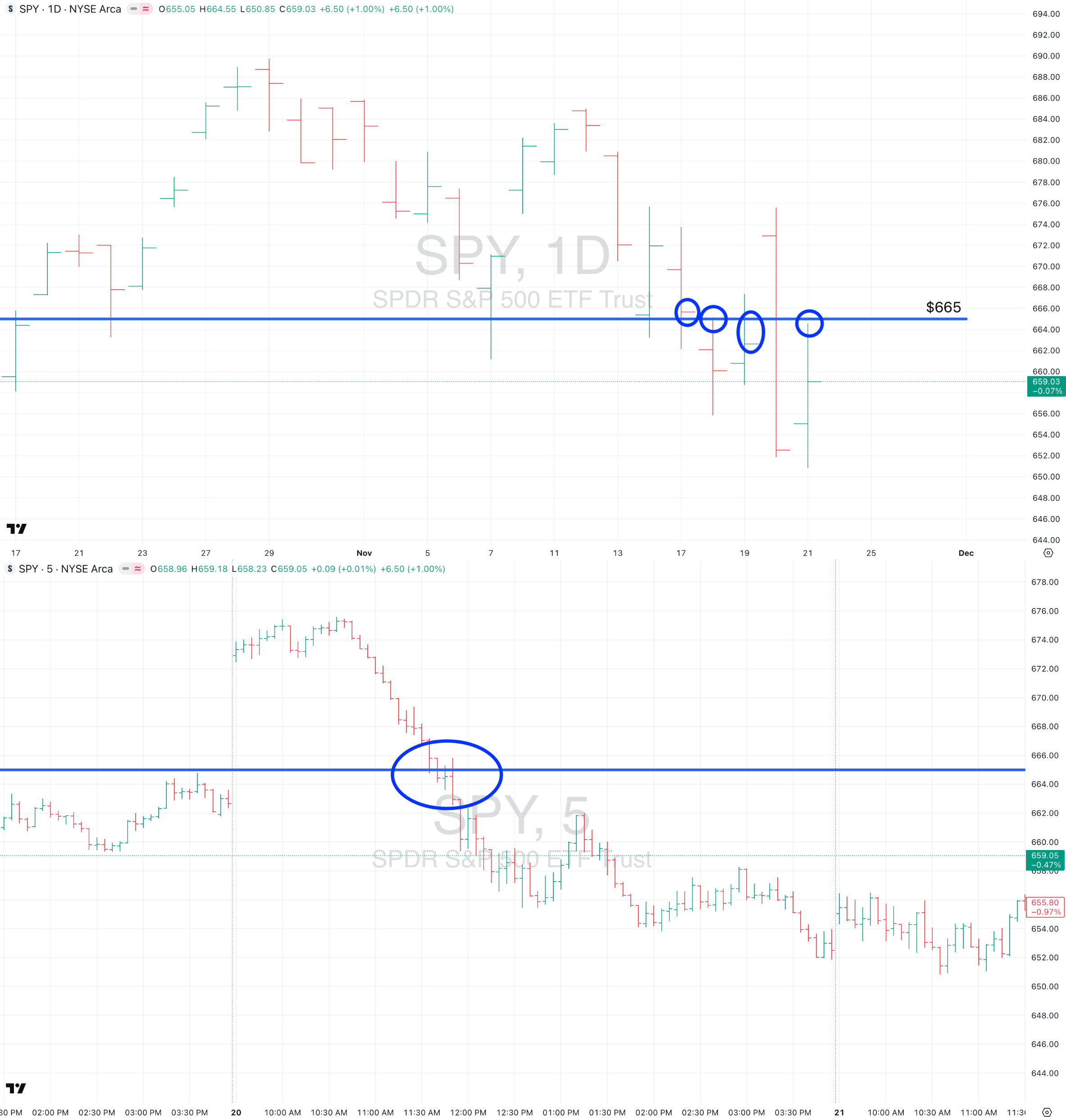 Back To The Beginning I Perch Observations #19 I November 24th